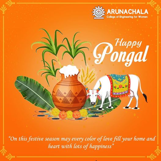 Pongal Wishes 2022